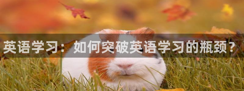 沐鸣2体育官网注册：英语学习：如何突破英语学习的瓶颈？