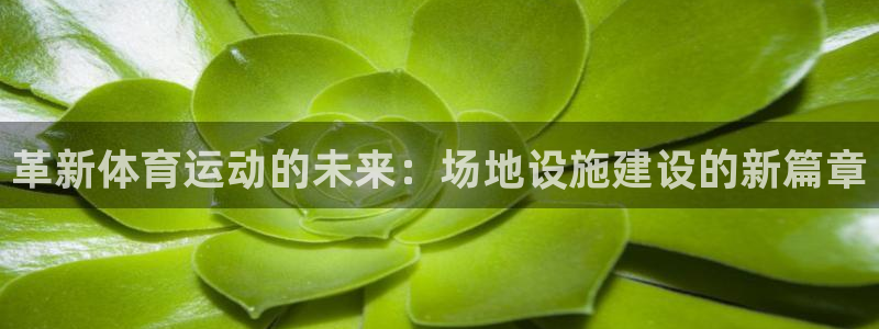 沐鸣2平台注册：革新体育运动的未来：场地设施建设的新篇章