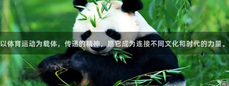 意昂平台注册入口：以体育运动为载体，传递的精神，愿它成为连接不同文化和时代的力量。