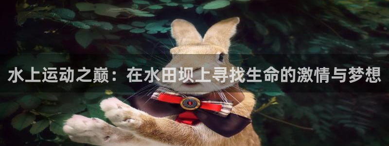 沐鸣2kgame：水上运动之巅：在水田坝上寻找生命的激情与梦想