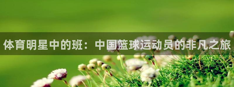 沐鸣23代理