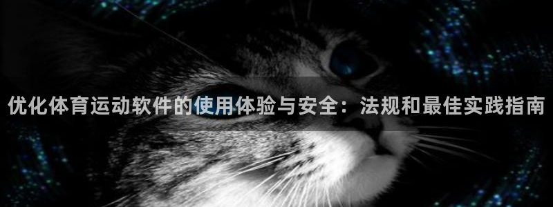 意昂包怎么样：优化体育运动软件的使用体验与安全：法规和最佳实践指南