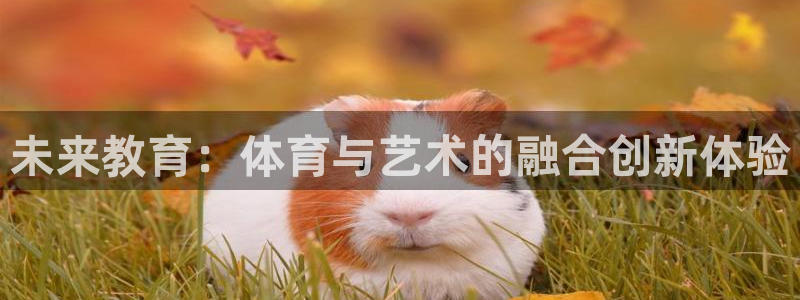 沐鸣2体育论坛：未来教育：体育与艺术的融合创新体验