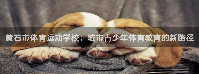 意昂新能源汽车科技有限公司：黄石市体育运动学校：城市青少年体育教育的新路径