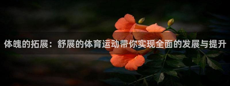沐鸣22登录入口：体魄的拓展：舒展的体育运动带你实现全面的发展与提升