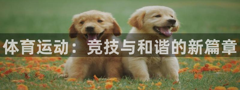 沐鸣2集团总部：体育运动：竞技与和谐的新篇章