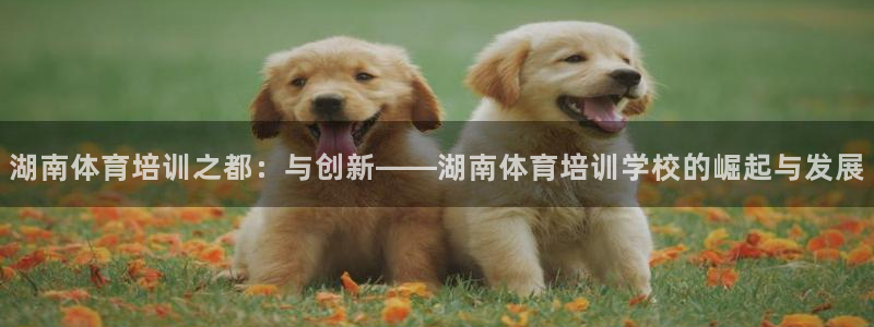 沐鸣24代理：湖南体育培训之都：与创新——湖南体育培训学校的崛起与发展