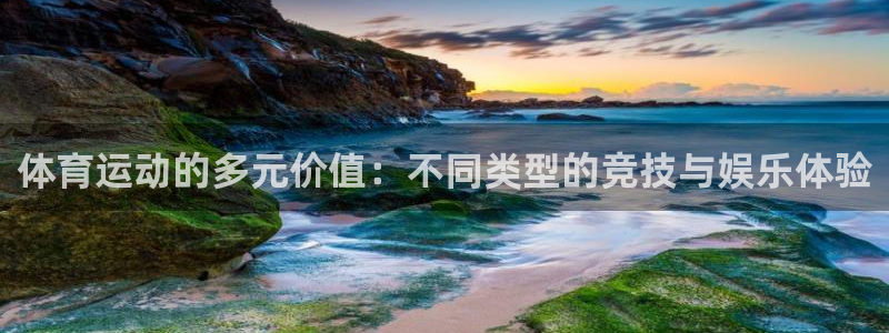 上海沐鸣2汽车电子有限公司：体育运动的多元价值：不同类型的竞技与娱乐体验