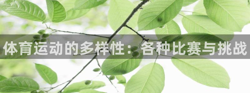 意昂3登录：体育运动的多样性：各种比赛与挑战