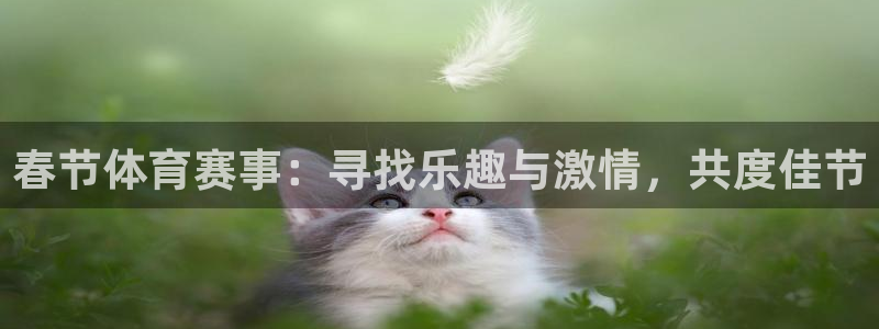 德国意昂集团