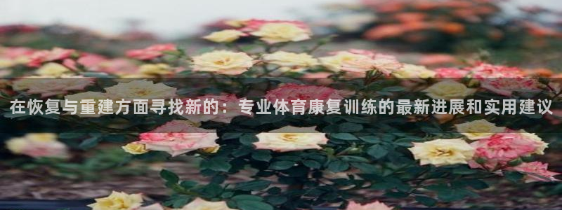 沐鸣2平台：在恢复与重建方面寻找新的：专业体育康复训练的最新进展和实用建议