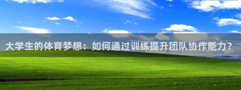 沐鸣2集团总部：大学生的体育梦想：如何通过训练提升团队协作能力？