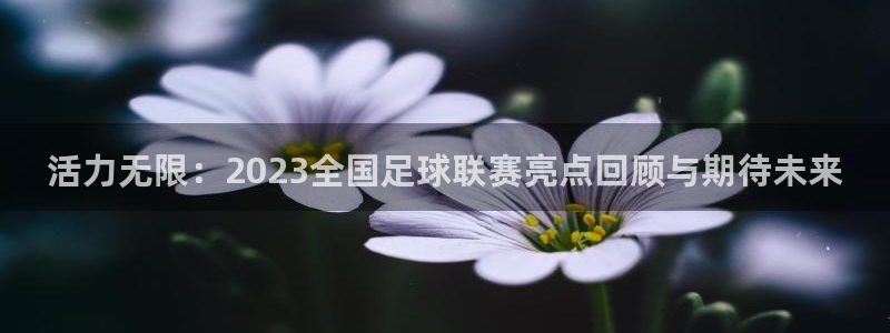 沐鸣2体育注册：活力无限：2023全国足球联赛亮点回顾与期待未来
