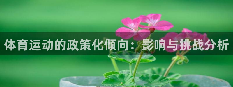 意昂代理注册官网入口：体育运动的政策化倾向：影响与挑战分析