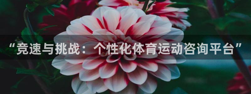 意昂3官网：“竞速与挑战：个性化体育运动咨询平台”