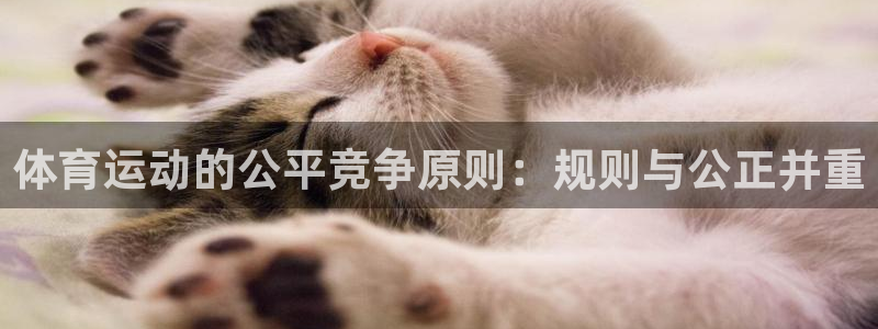 意昂5注册：体育运动的公平竞争原则：规则与公正并重